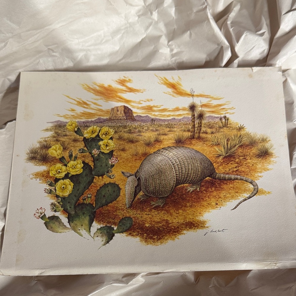 Armadillo Desert Scene Art Print